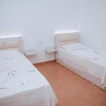 Perdja Velipojë